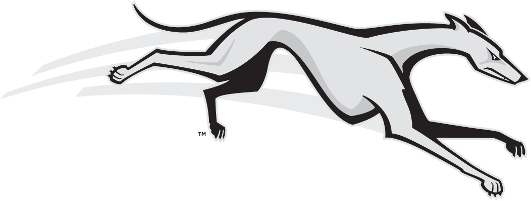 Loyola-Maryland Greyhounds 2002-2010 Partial Logo DIY iron on transfer (heat transfer)